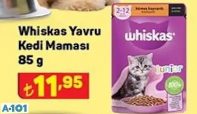 WHİSKAS YAVRU KEDİ MAMASI WHİSKAS YAVRU KEDİ MAMASI
